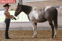 22-APHA HTB_055